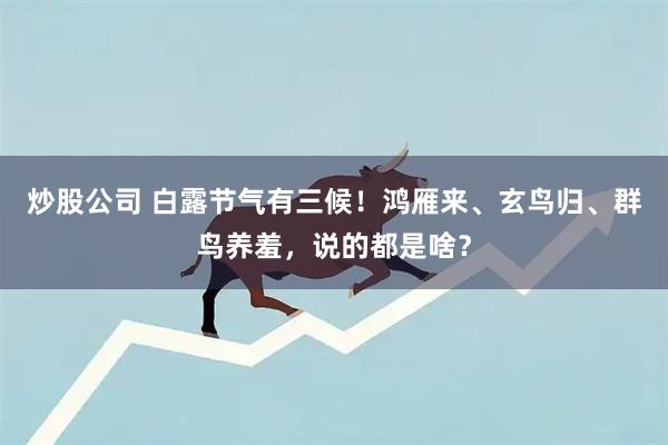 炒股公司 白露节气有三候！鸿雁来、玄鸟归、群鸟养羞，说的都是啥？