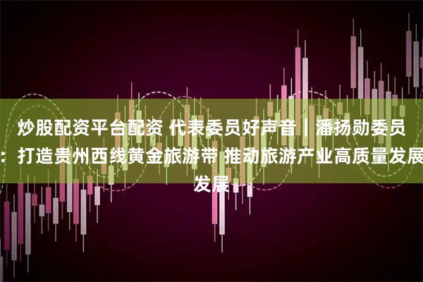 炒股配资平台配资 代表委员好声音｜潘扬勋委员：打造贵州西线黄金旅游带 推动旅游产业高质量发展